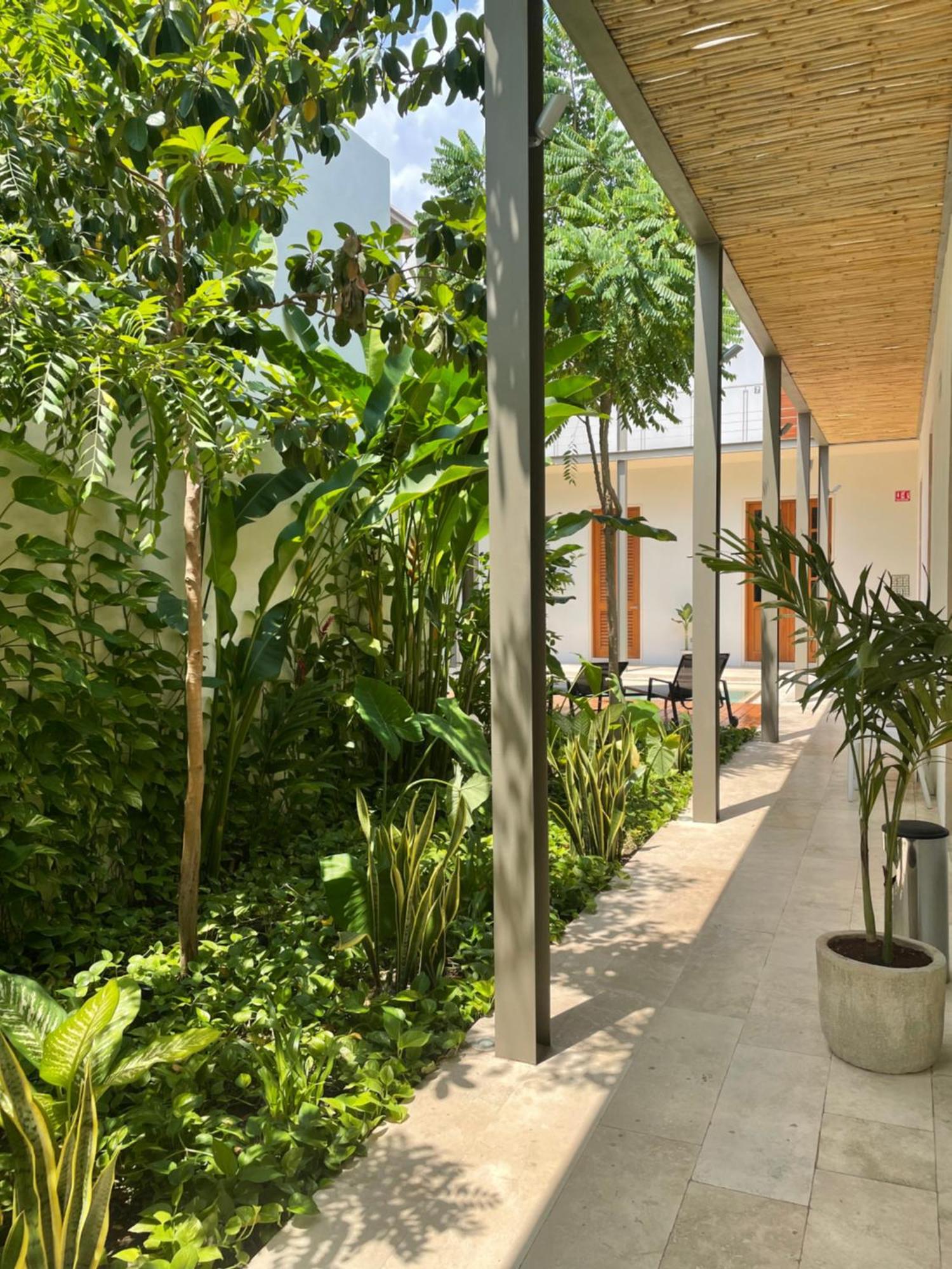 Villa Orquidea Boutique Hotel Mérida Eksteriør billede
